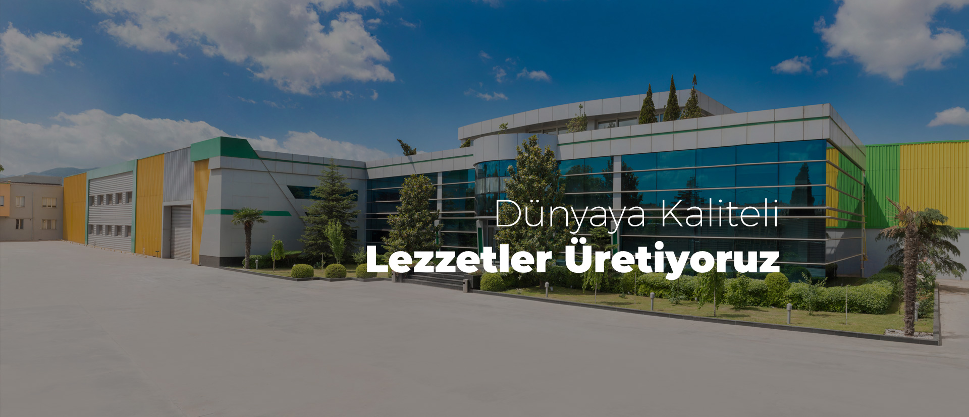 lidya-slider (1)
