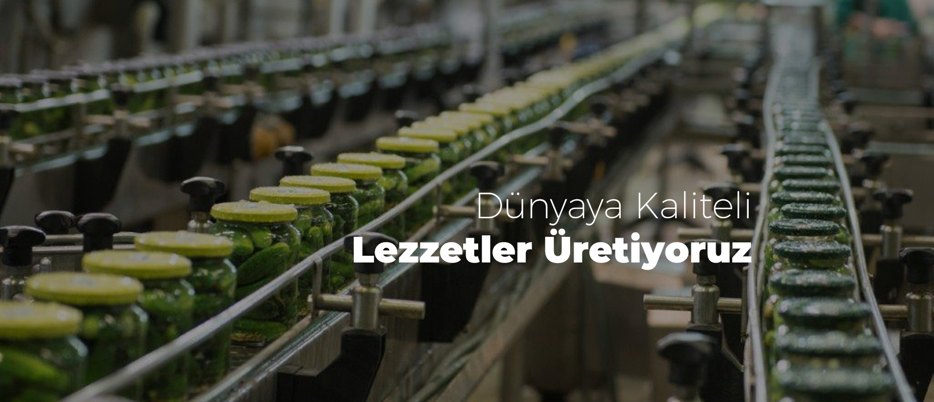 lidya-slider (2)