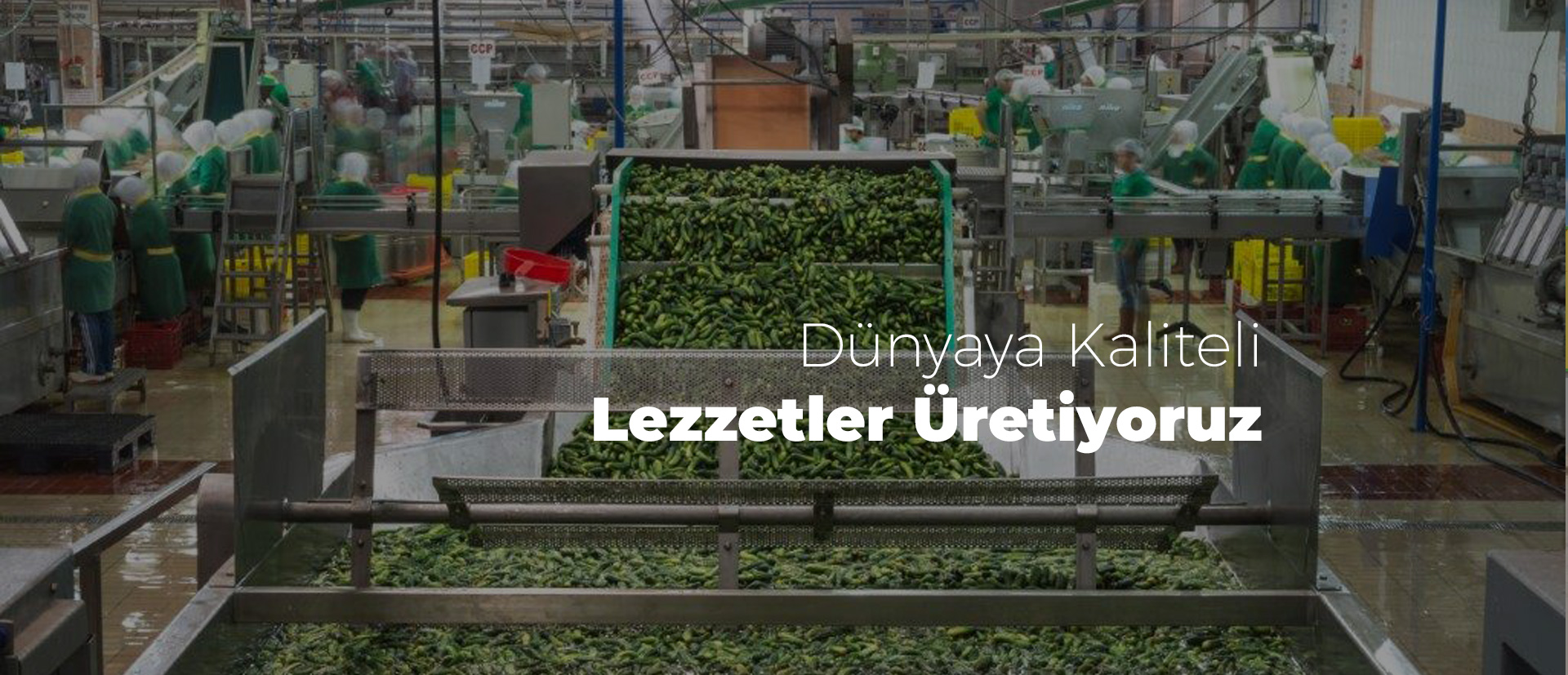 lidya-slider (3)