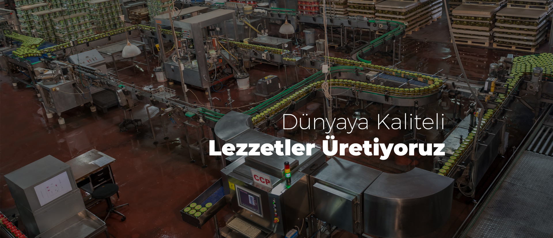 lidya-slider (4)