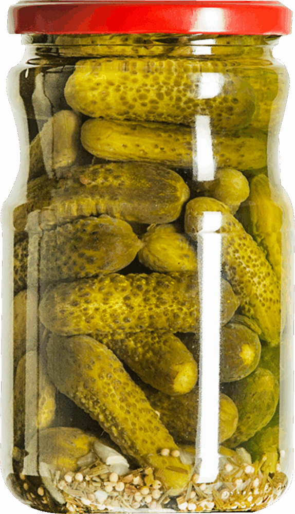 720cc-alman-tipi-kornison-salatalik-tursusu