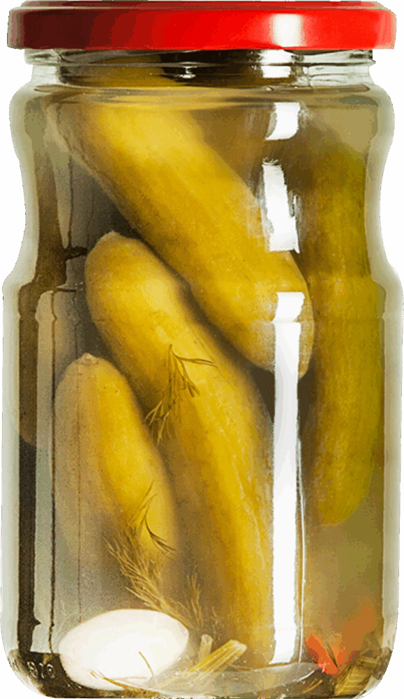 720cc-cubuk-usulu-salatalik-tursusu