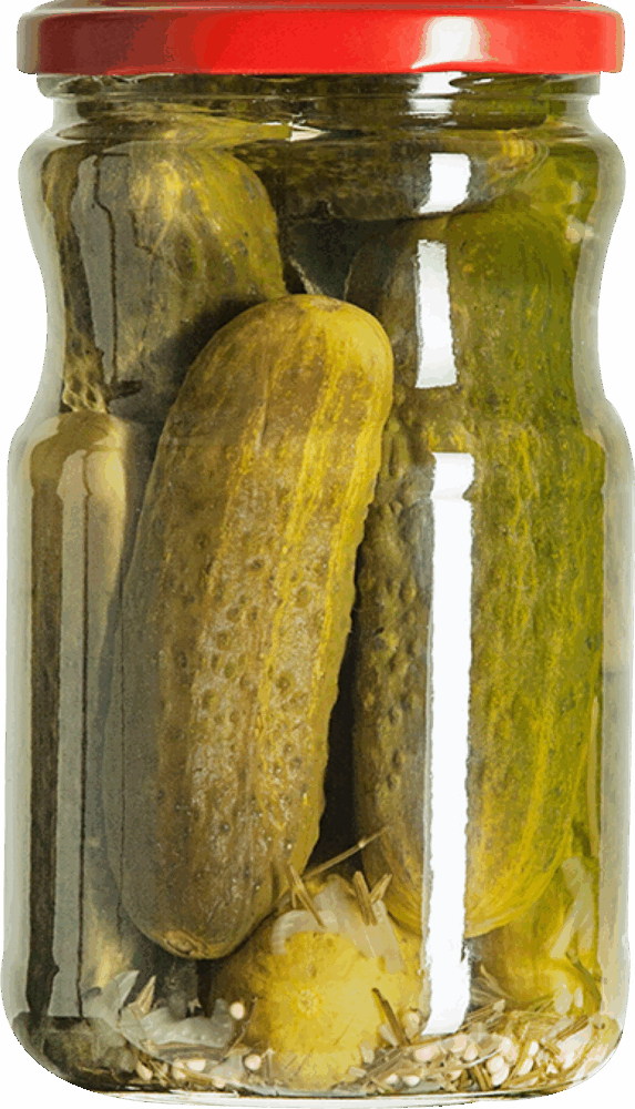 720cc-salatalik-tursusu-iri-boy-alman-tipi-gewurz-gurken