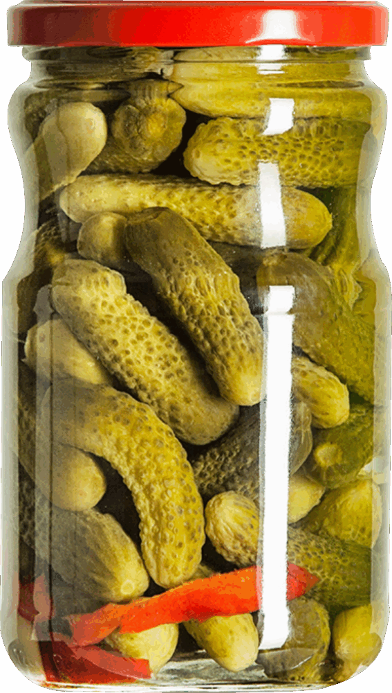 720cc-turk-tipi-kornison-salatalik-tursusu