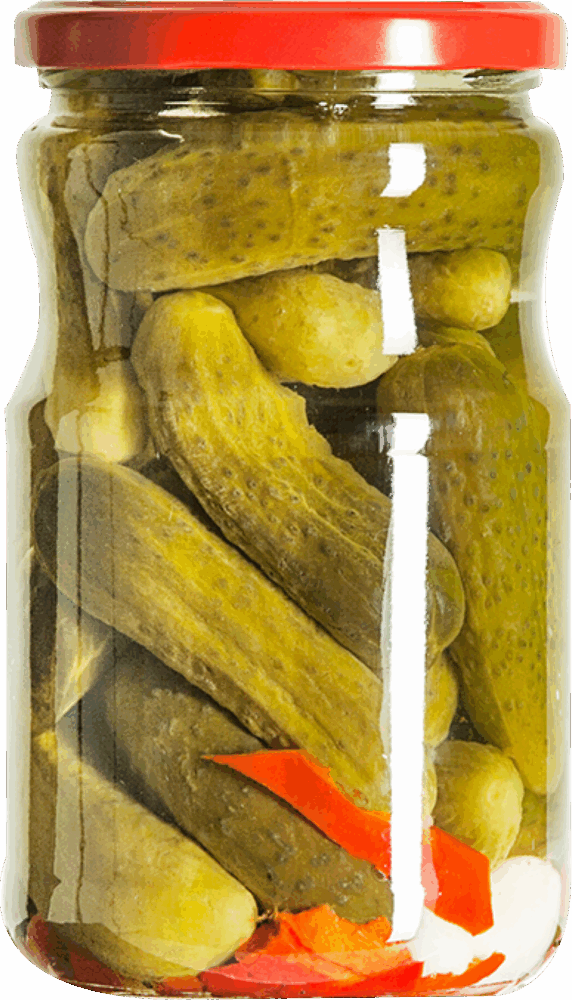 720cc-turk-tipi-salatalik-tursusu